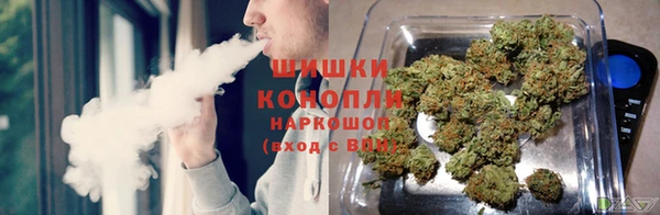 хмурый Горняк
