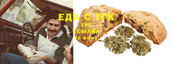 дживик Горнозаводск