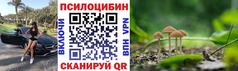 Псилоцибиновые грибы Magic Shrooms  Купить  Новый Оскол 